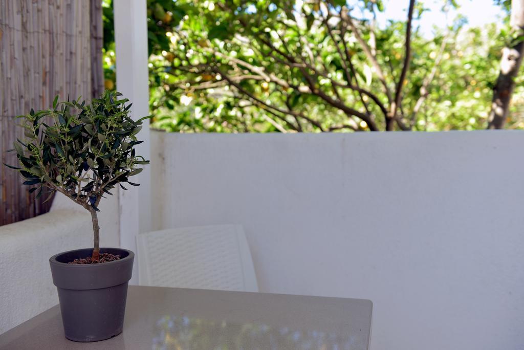 Flora'S Houses Mykonos Klouvas Екстериор снимка